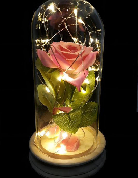 ROSA ETERNA CUPULA
